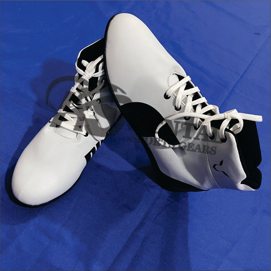 2020 Lewis Hamilton Preseason Mercedes AMG Puma F1 Boots