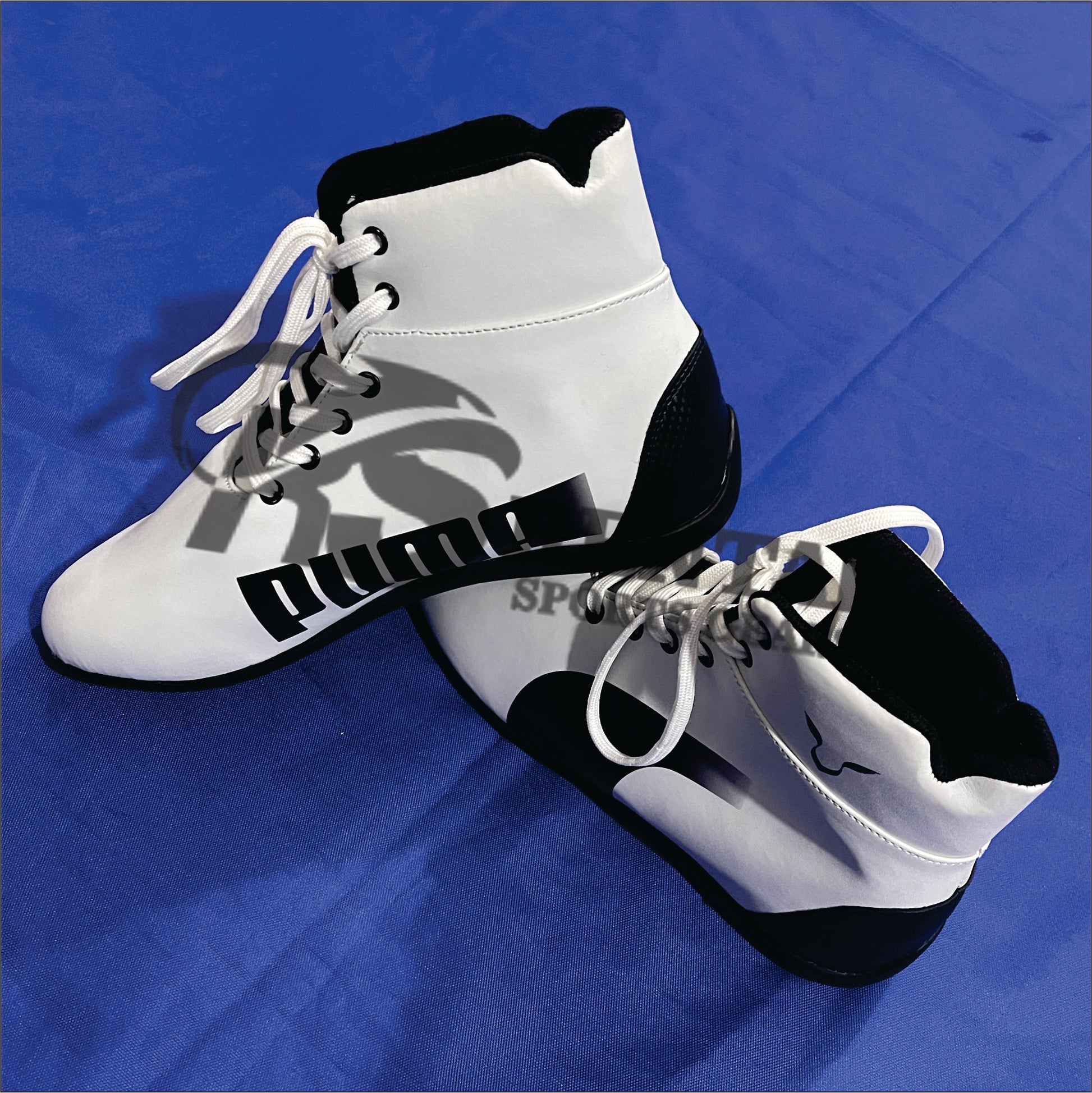 2020 Lewis Hamilton Preseason Mercedes AMG Puma F1 Boots